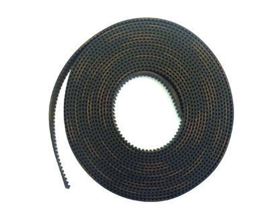 D.Gen Papyrus Belt