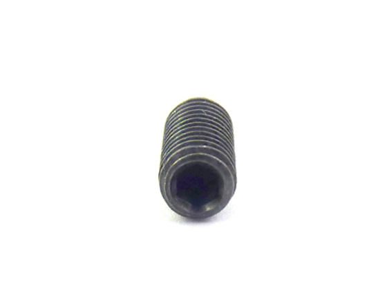 Mimaki CJV30 Hexagon Socket Head Screw - SSWP 4x4