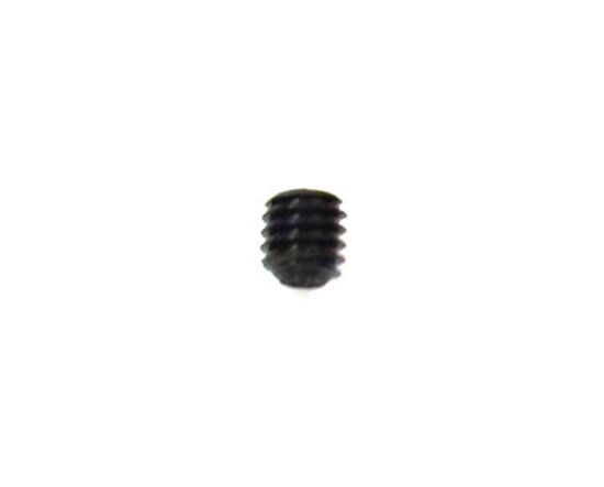 Mimaki JV5 Hexagon Socket Head Screw - QAN0033-100 - SSWP4x4