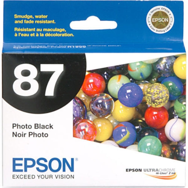 Epson 87 UltraChrome Ink Photo Black for Stylus Photo R1900 - T087120