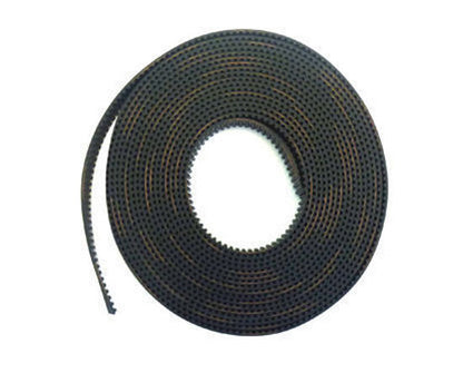 D.Gen Papyrus Belt