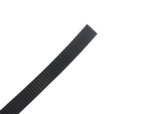 D.Gen Papyrus Belt